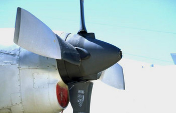 The Birthday Present